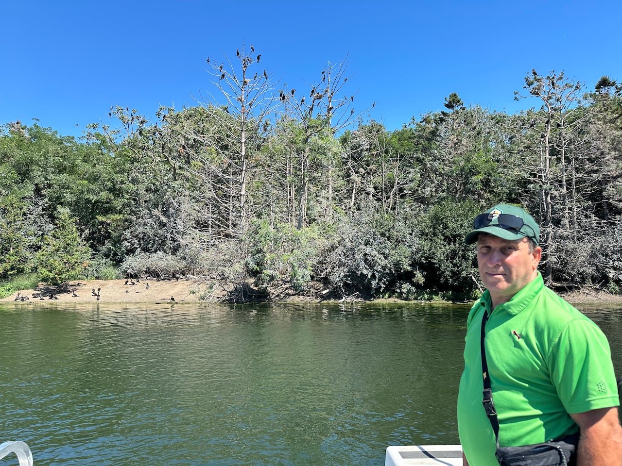 default-478 A man stands on a boat with a shoreline in the background and birds nesting in trees.